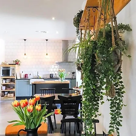 Casa de hóspedes Bij Jans Hilvarenbeek
