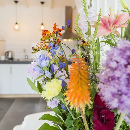 Bed & Breakfast Bij Jans Hilvarenbeek