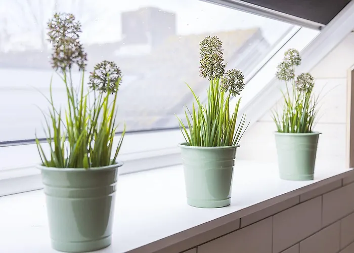 Bij Jans Guest house 3*