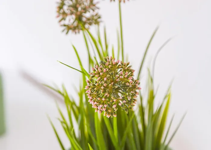 Bij Jans Guest house