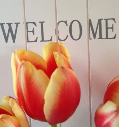 Bij Jans 3* Hilvarenbeek