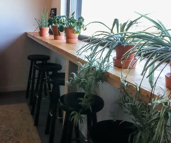 Πανσιόν Bij Jans