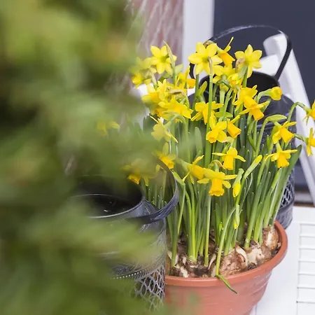 게스트하우스 Bij Jans