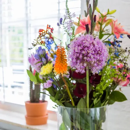 게스트하우스 Bij Jans 3*