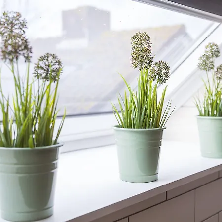 Bij Jans 게스트하우스 3*