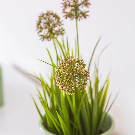 Bij Jans 게스트하우스