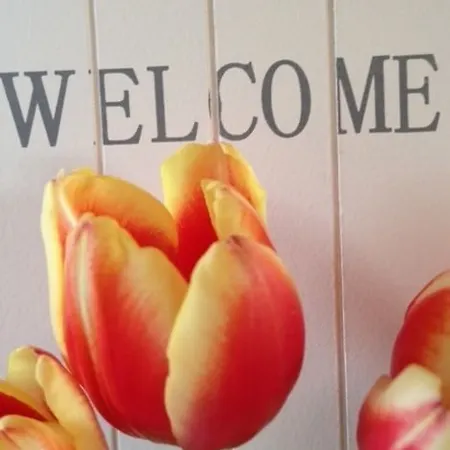 Bij Jans 3* 힐바렌빅