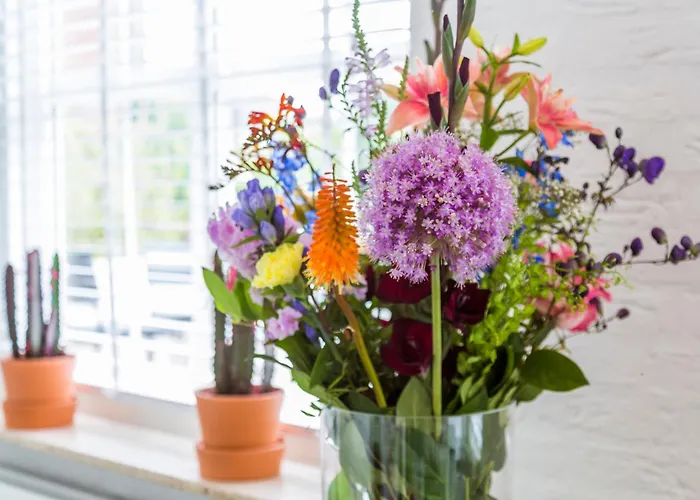 בית הארחה Bij Jans 3*