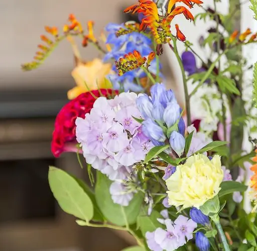 Bij Jans הילווארנבייק